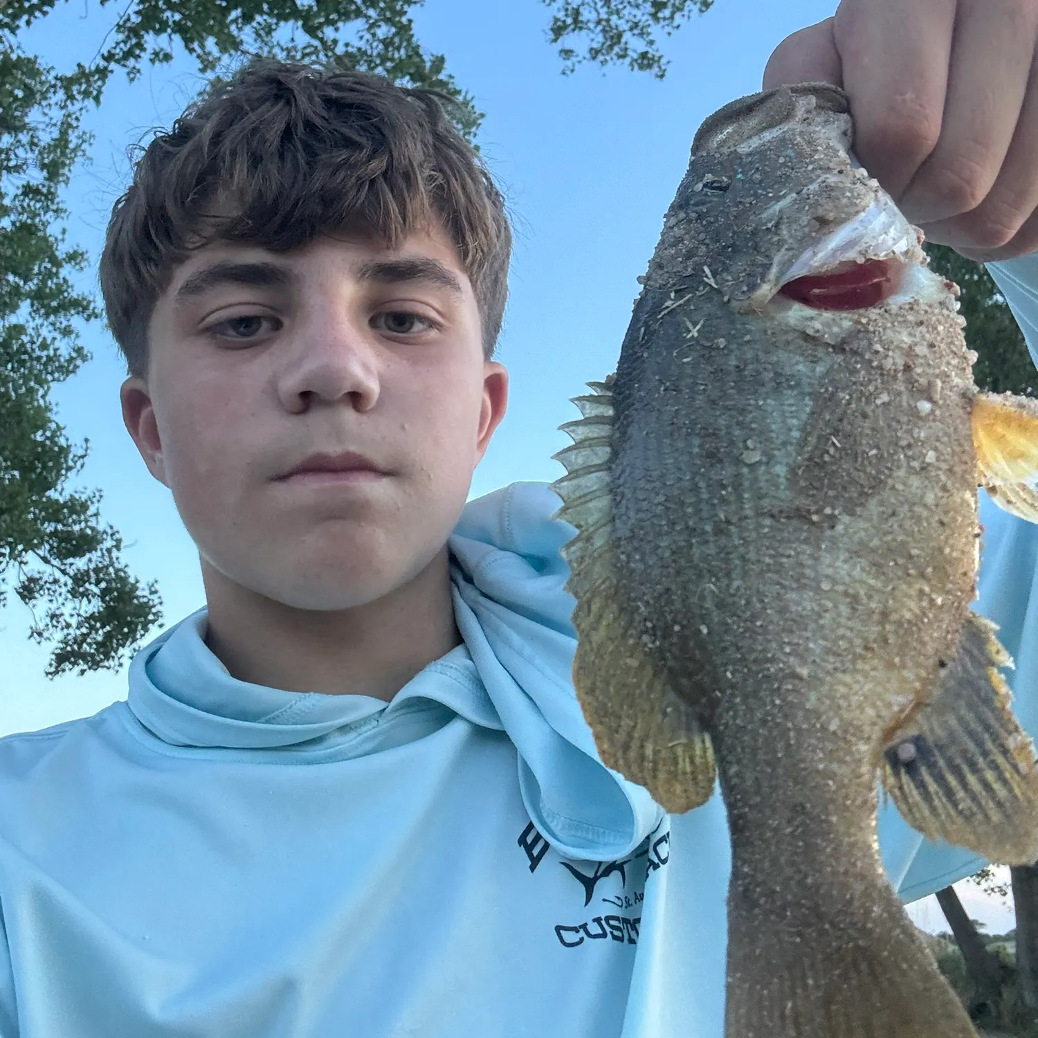 Green sunfish caught on Fishbrain