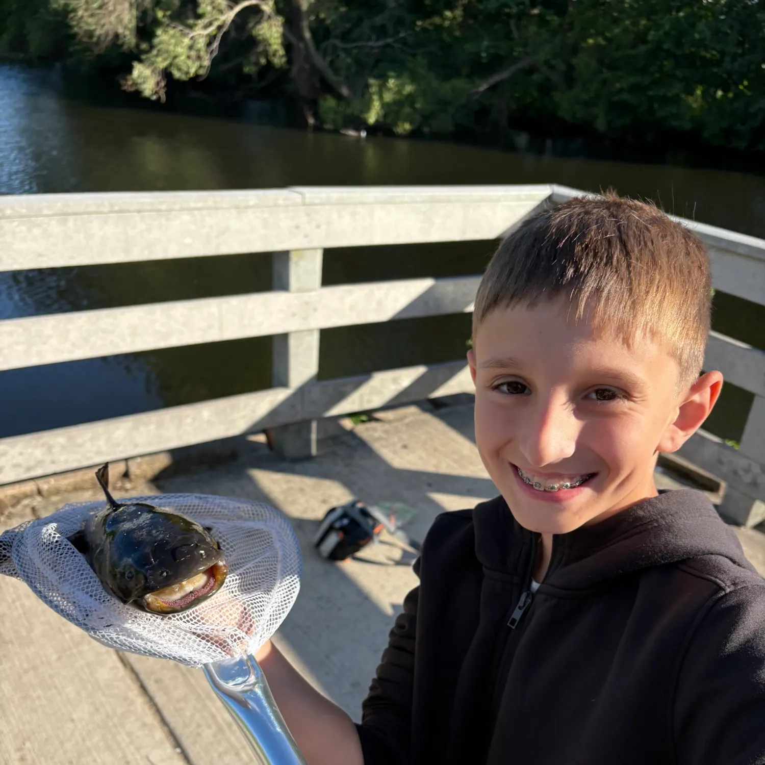 Black bullhead caught on Fishbrain