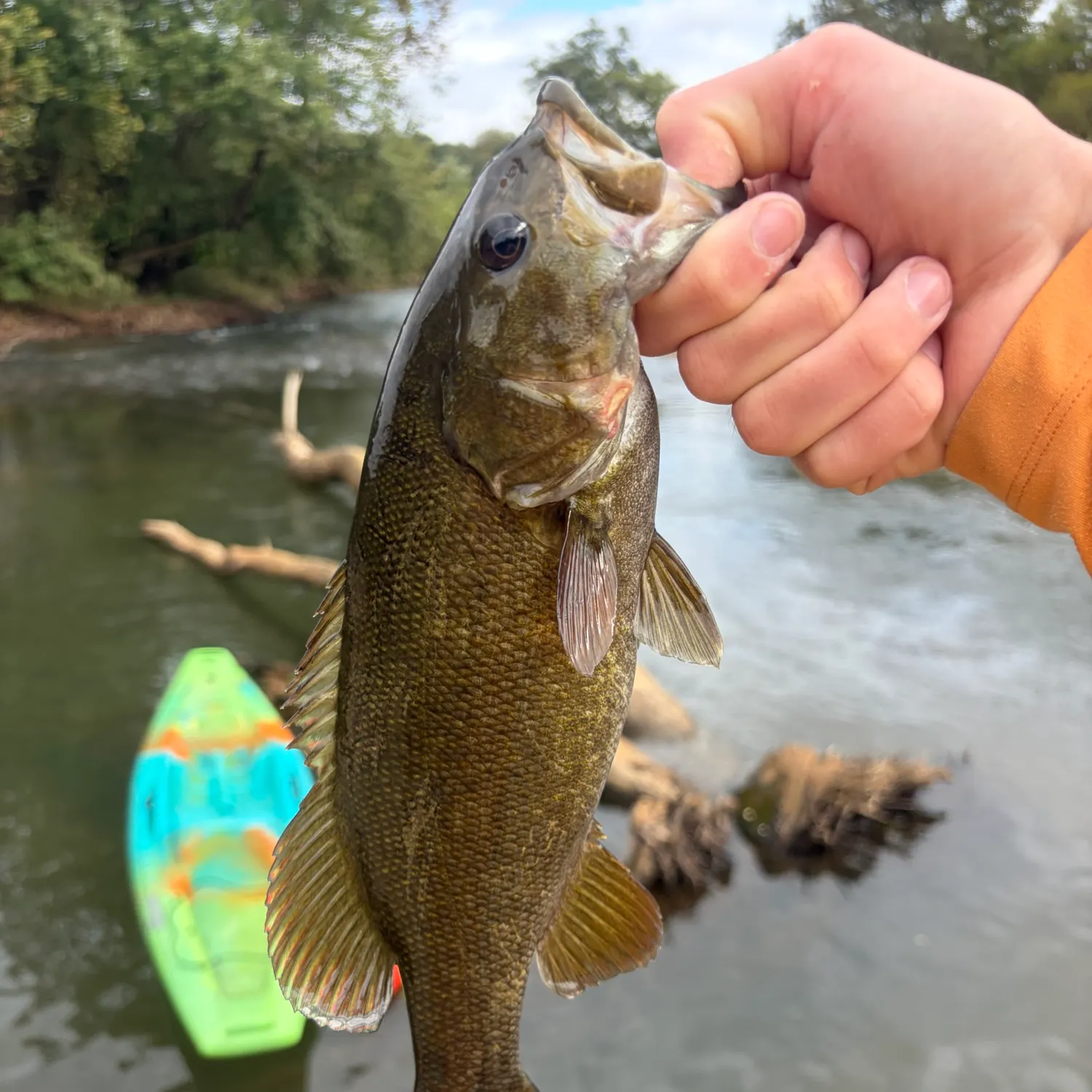 Smallmouth bass caught on Fishbrain