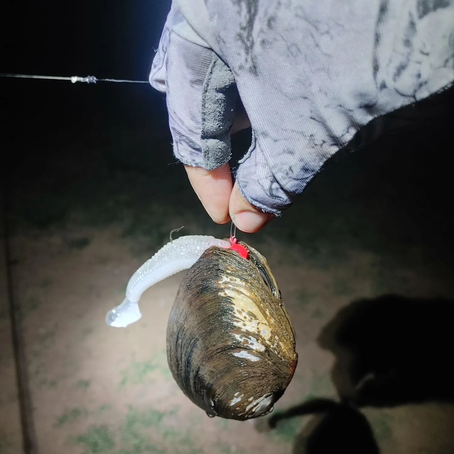 Fish caught on Fishbrain