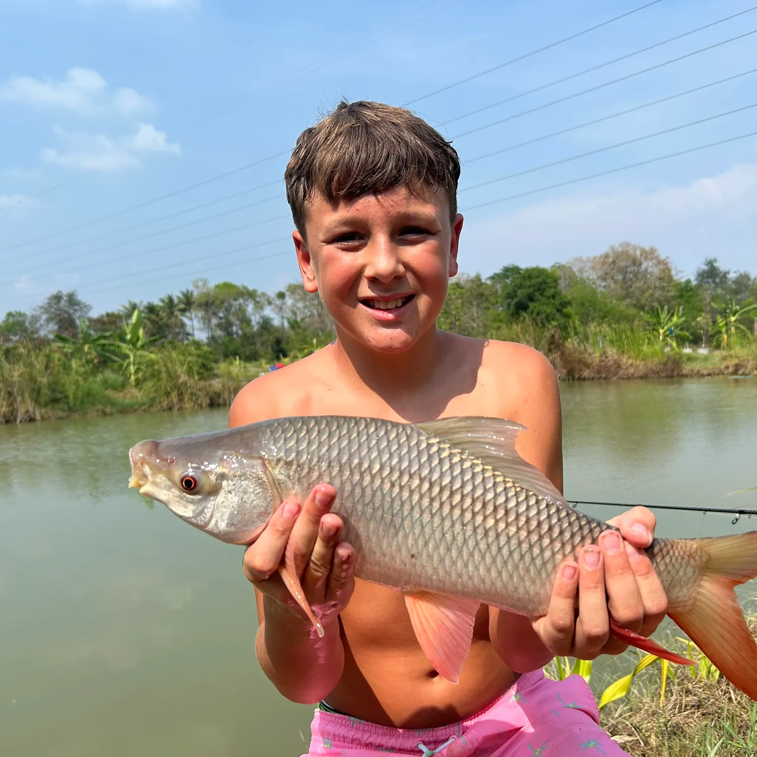 The most recent Rohu carp catches on Fishbrain