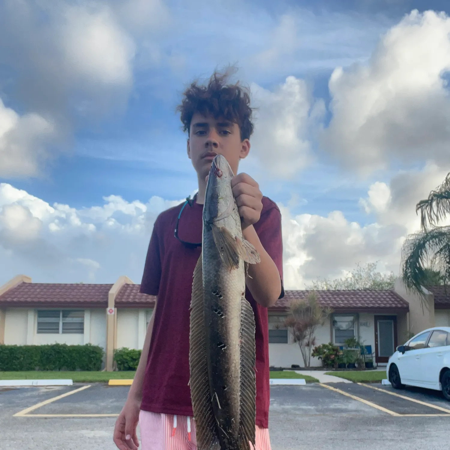 The most recent Bullseye snakehead catches on Fishbrain