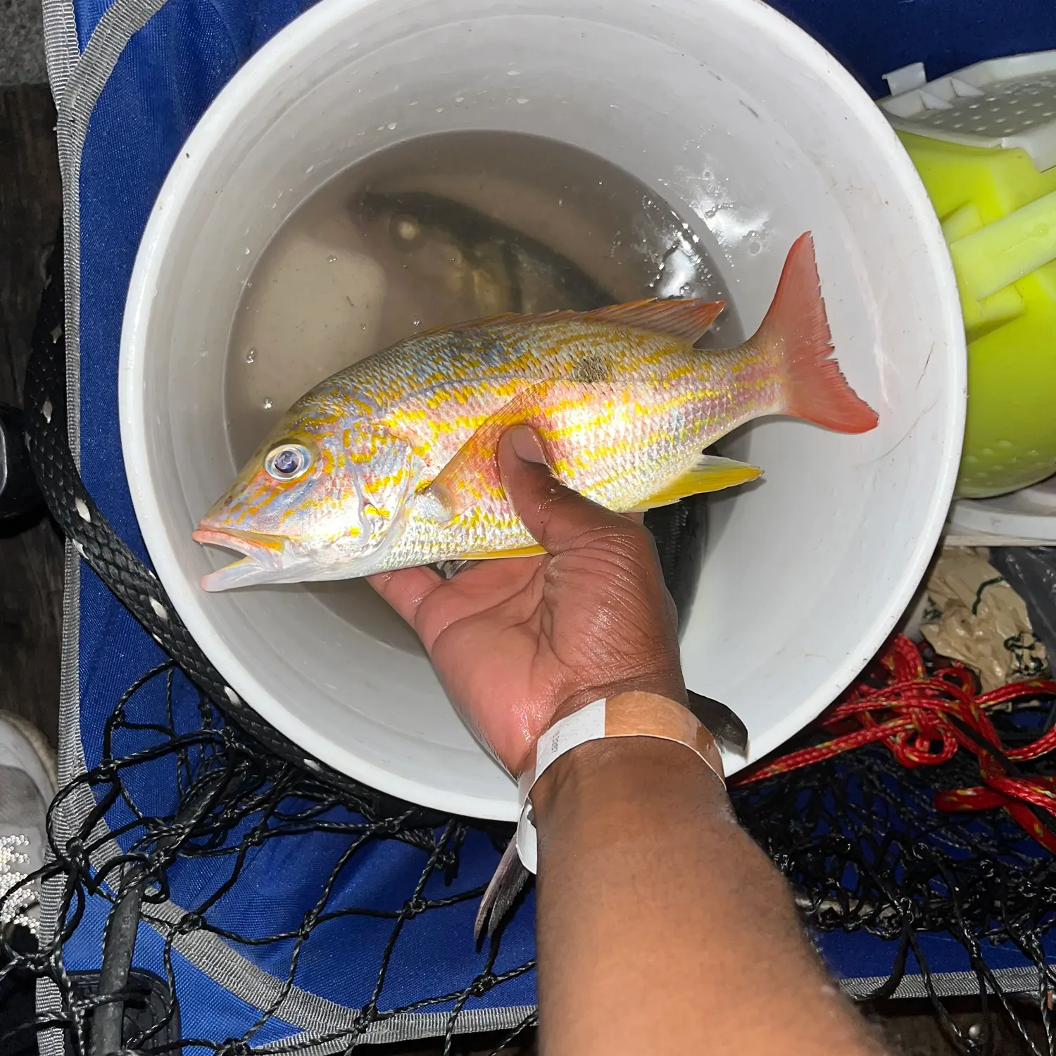 catch