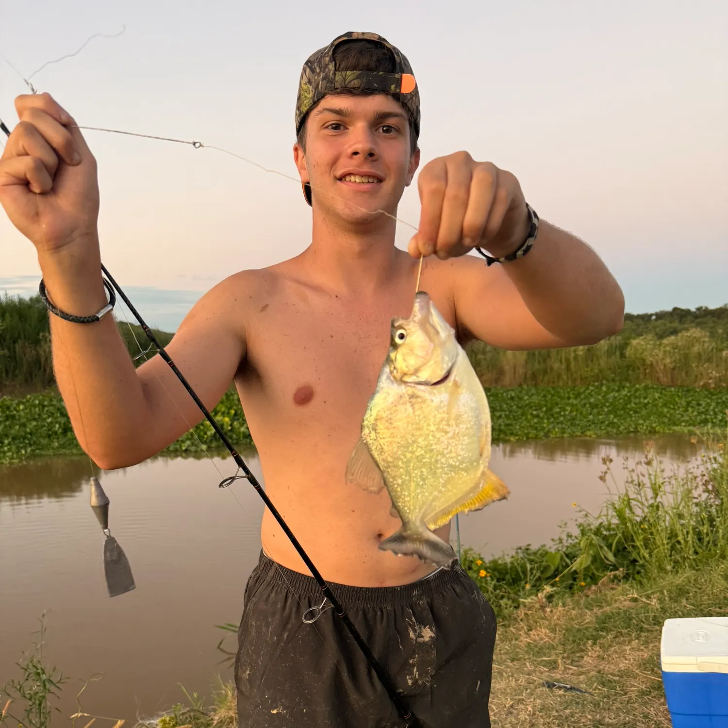 The most recent Parona leatherjacket catches on Fishbrain