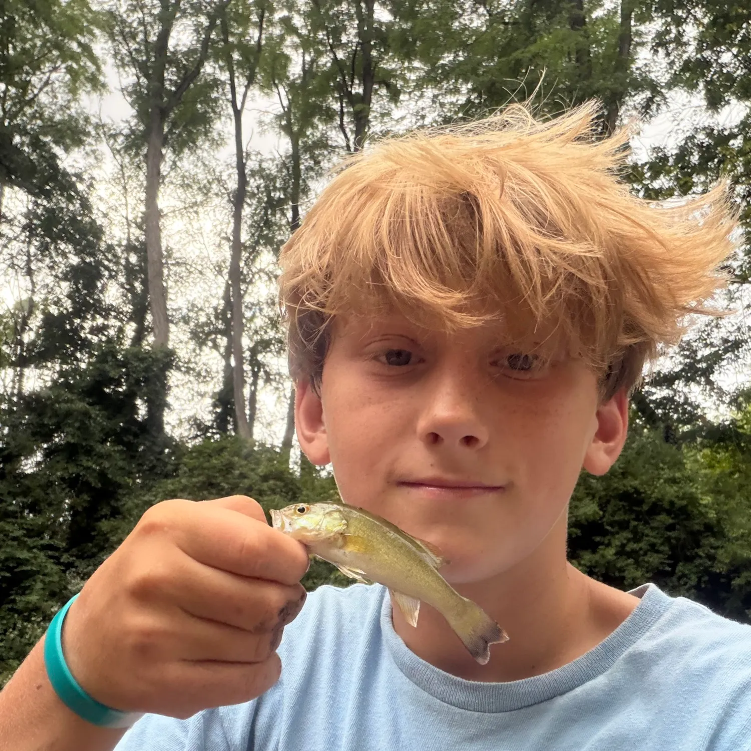 Smallmouth bass caught on Fishbrain