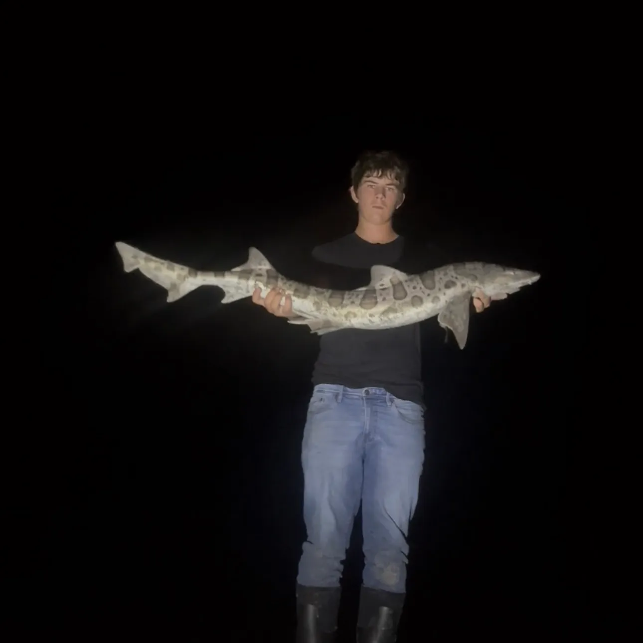 The most recent Leopard shark catches on Fishbrain