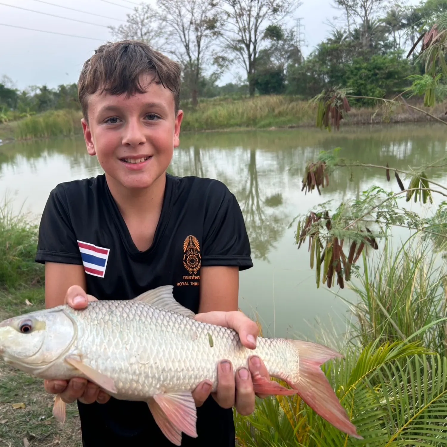 The most recent Rohu carp catches on Fishbrain