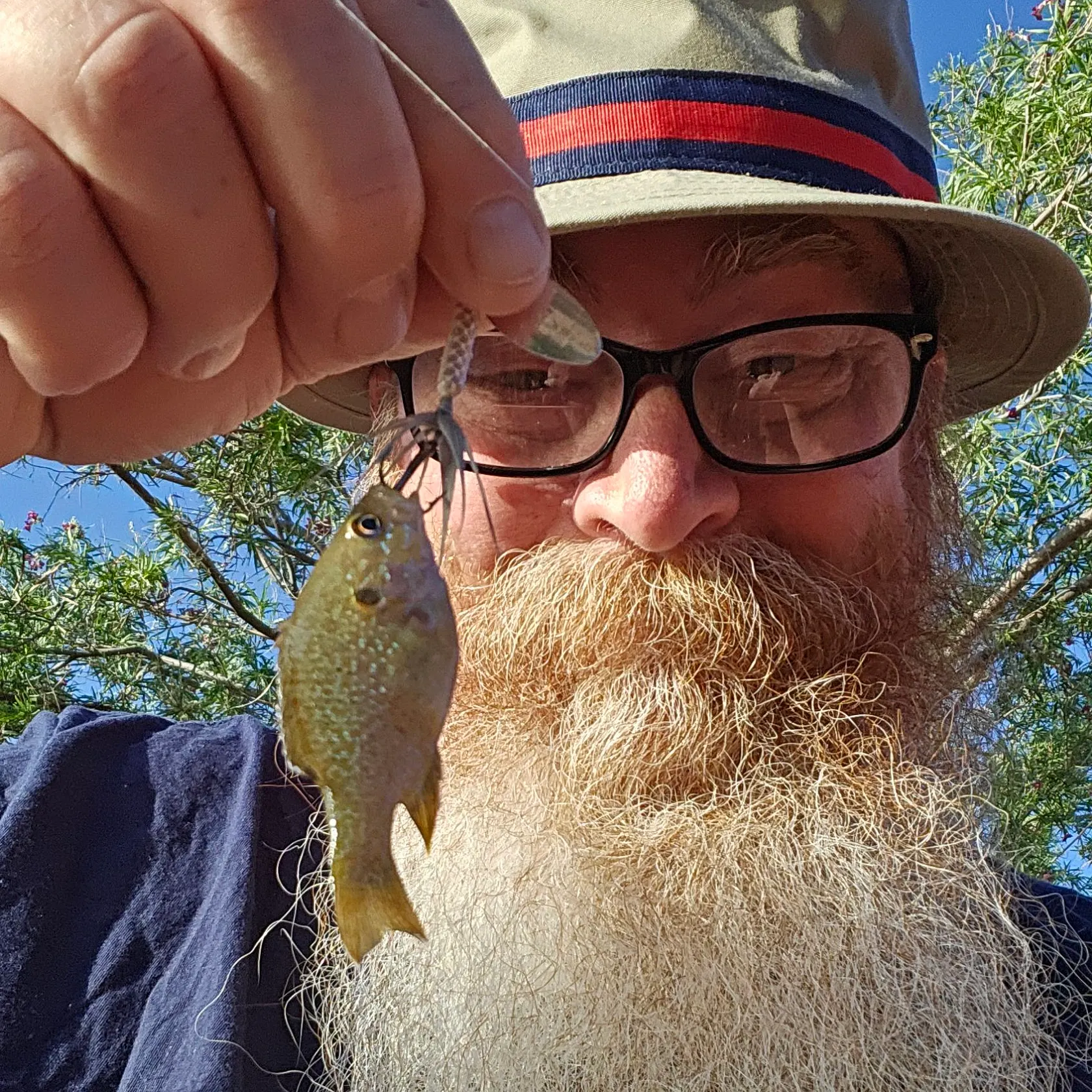 angler catch