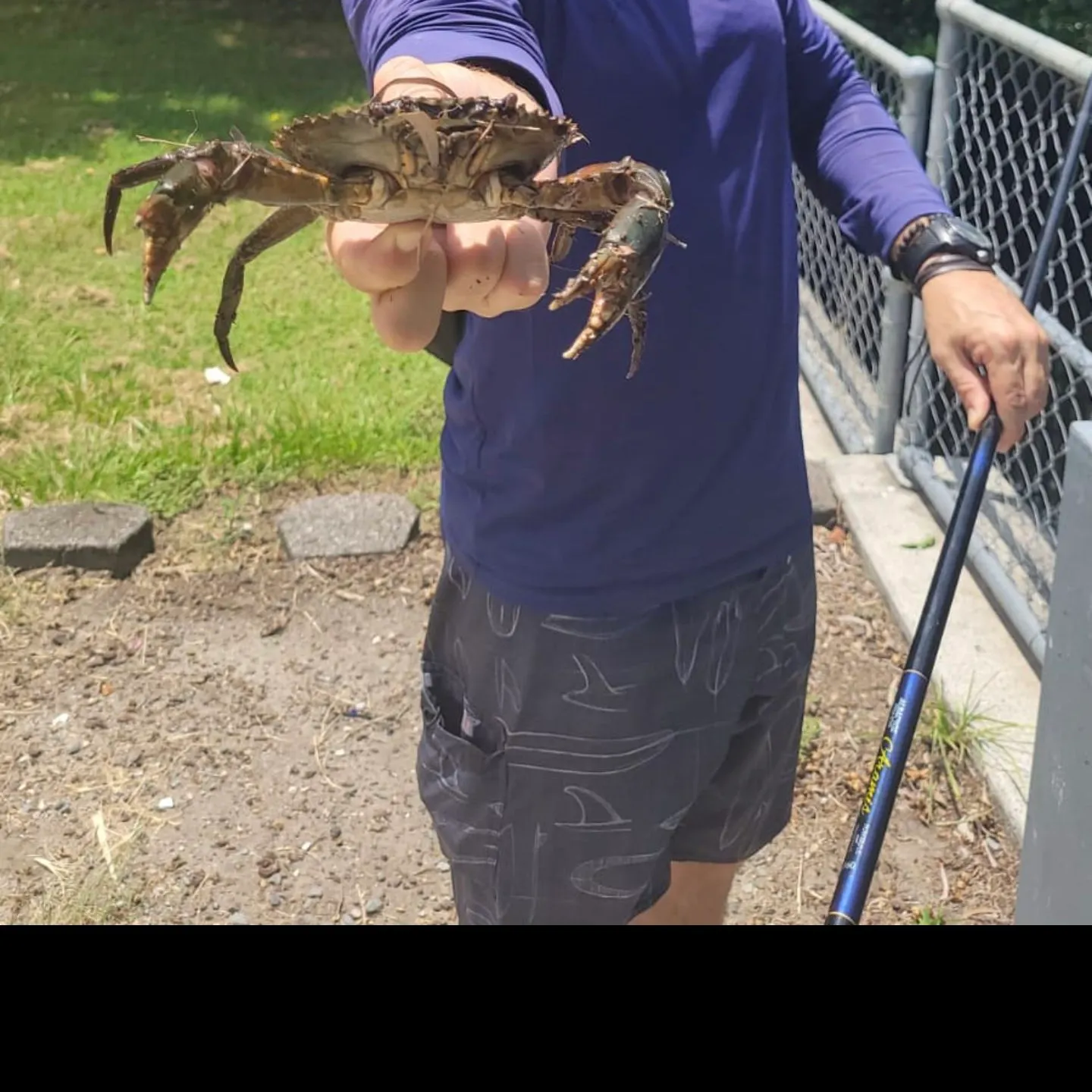 The most recent Threespot swimming crab catches on Fishbrain