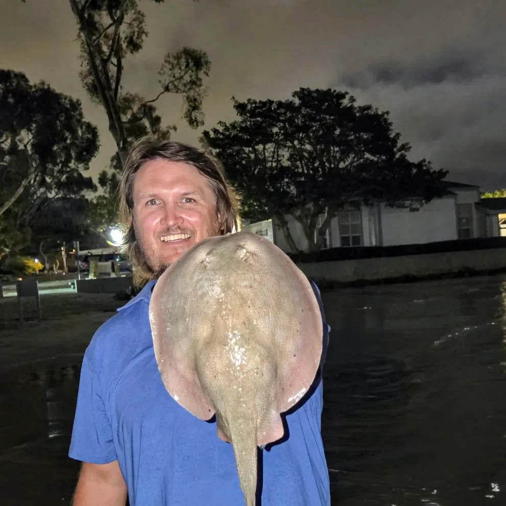 The most recent Haller's round ray catches on Fishbrain