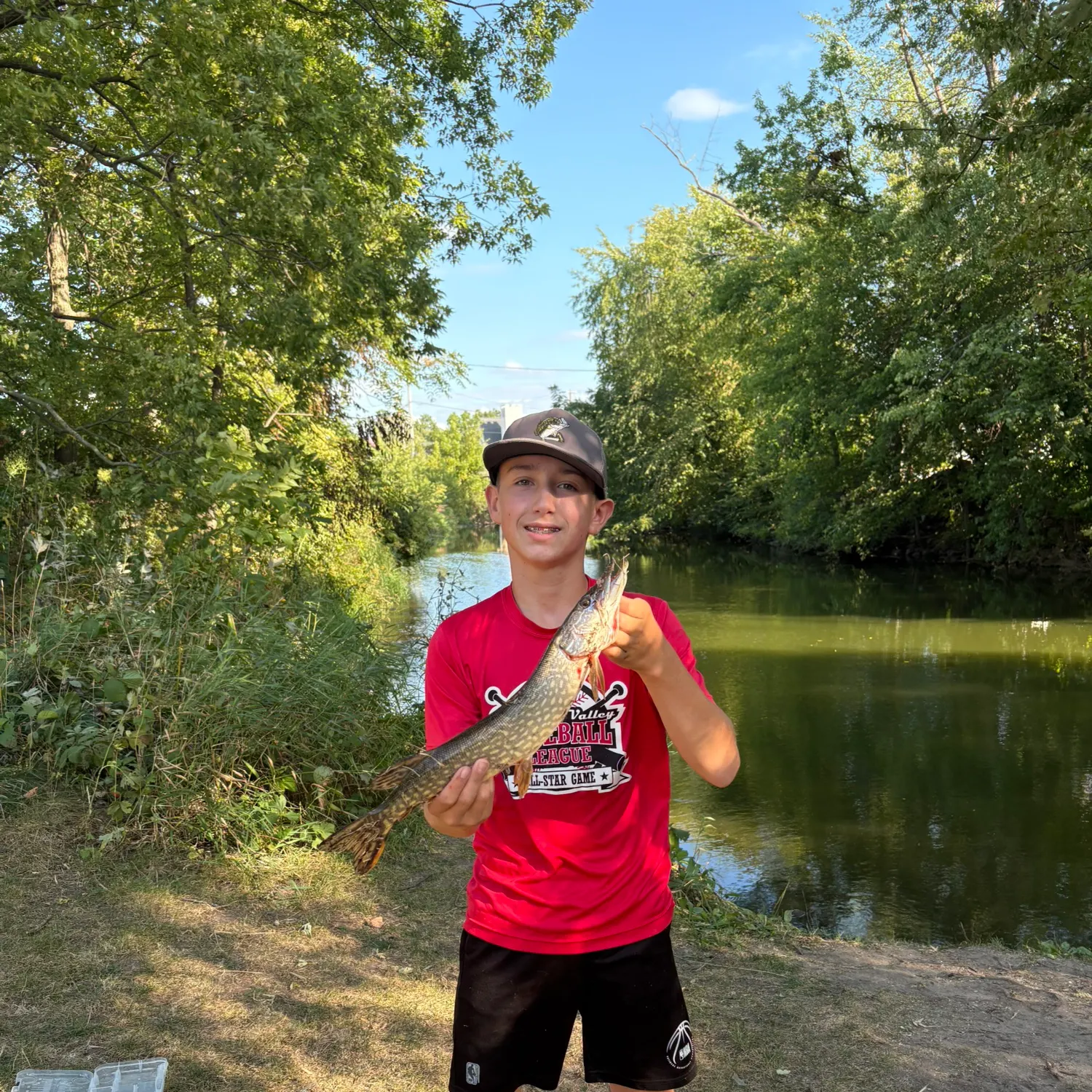 Northern pike caught on Fishbrain