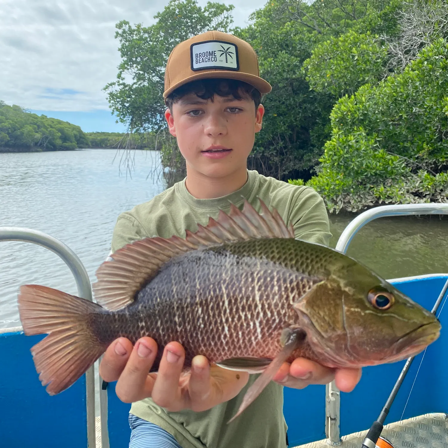 The most recent Mangrove red snapper catches on Fishbrain