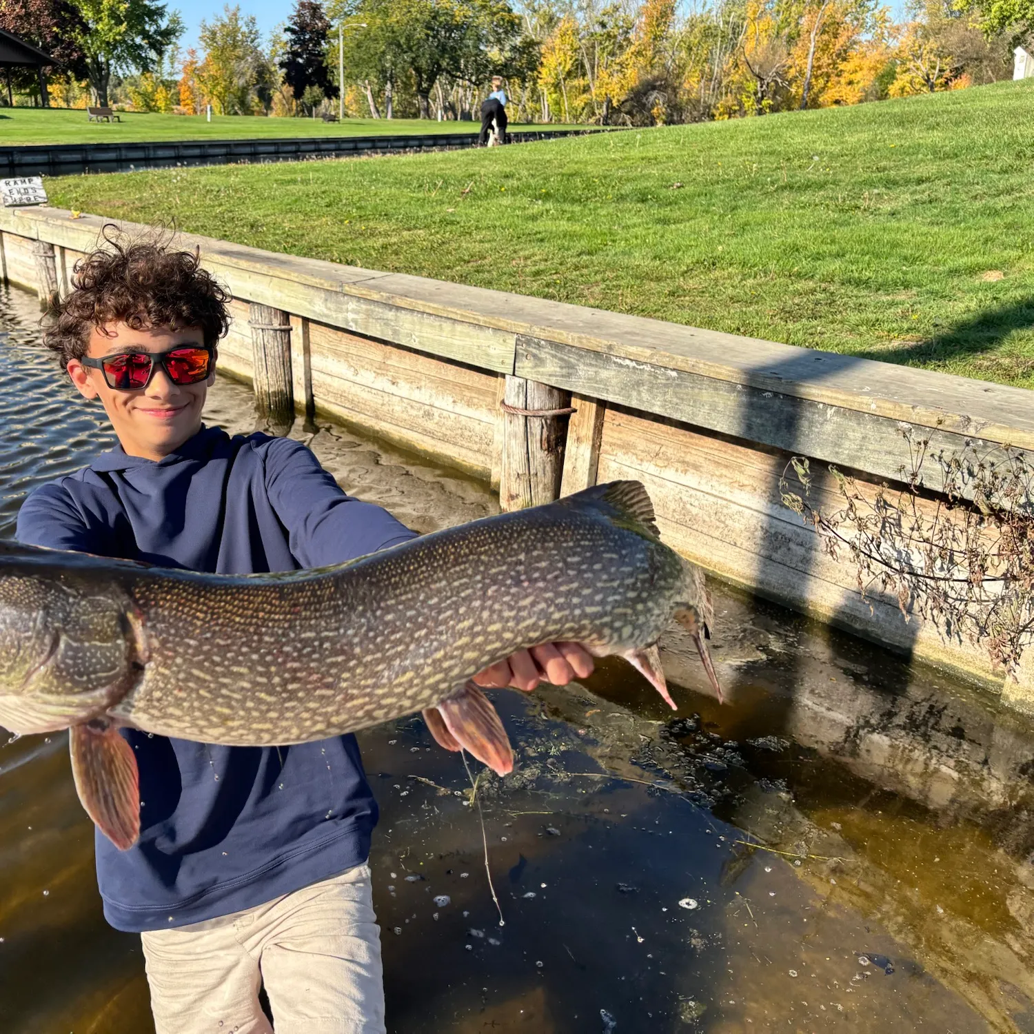 Northern pike caught on Fishbrain