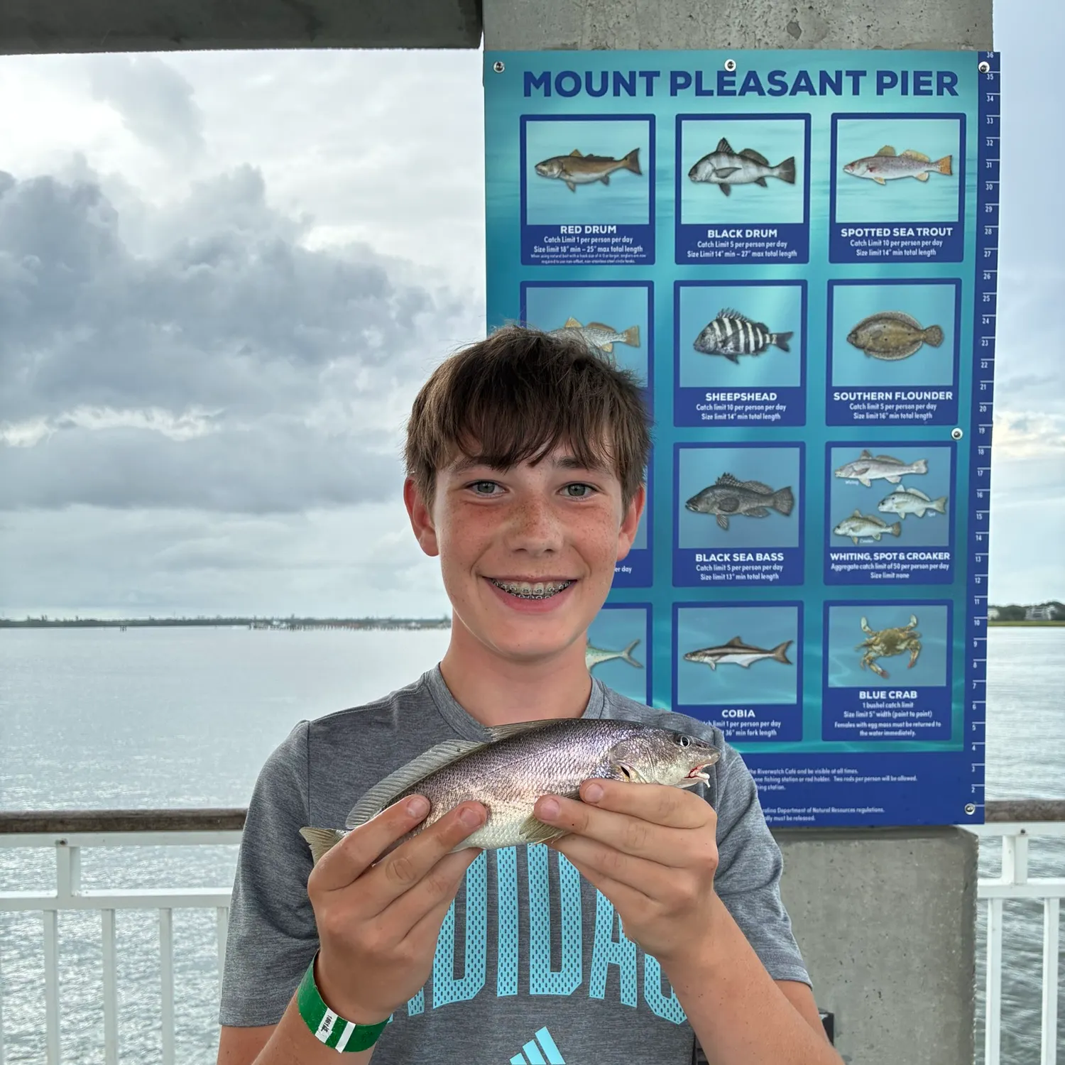 Southern kingcroaker caught on Fishbrain