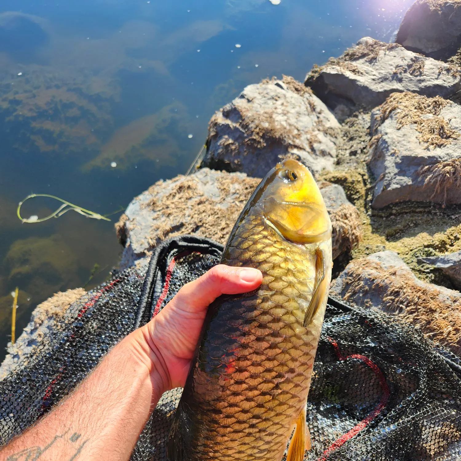 catch