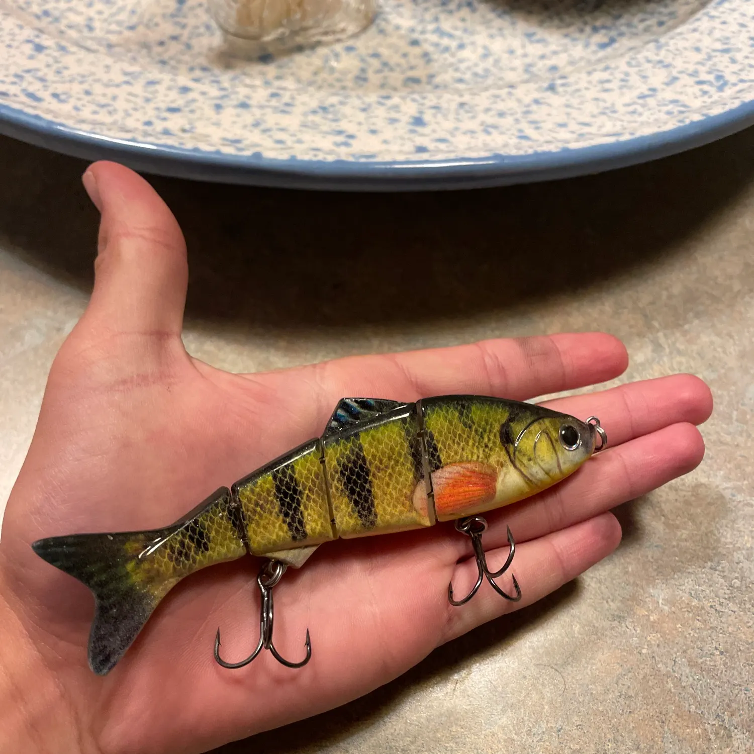 The most recent Yellow perch catches on Fishbrain