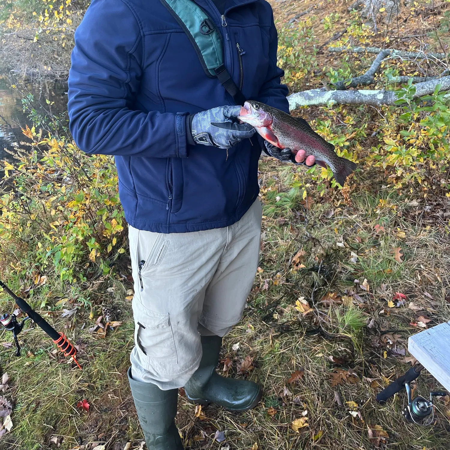 Rainbow trout caught on Fishbrain