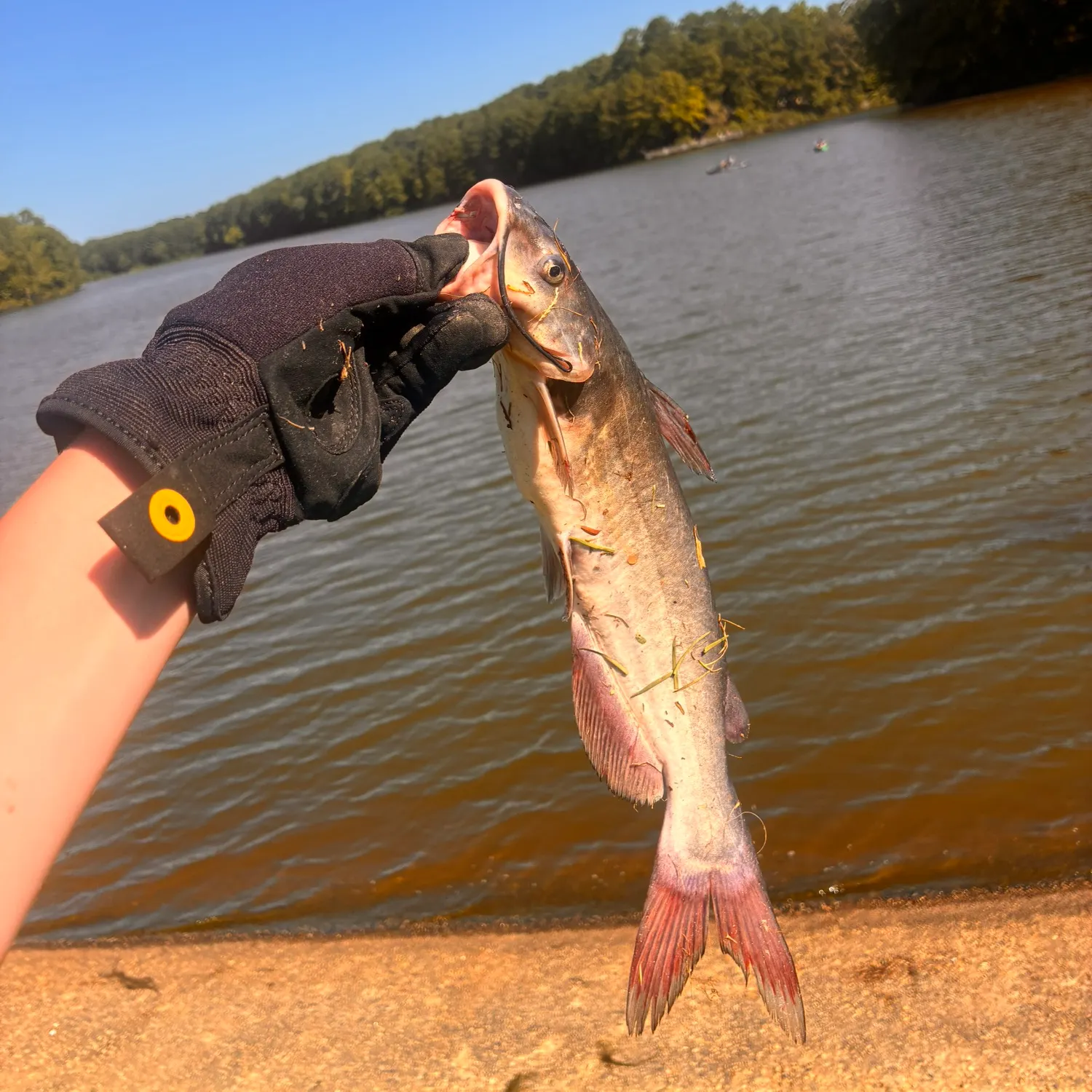 catch