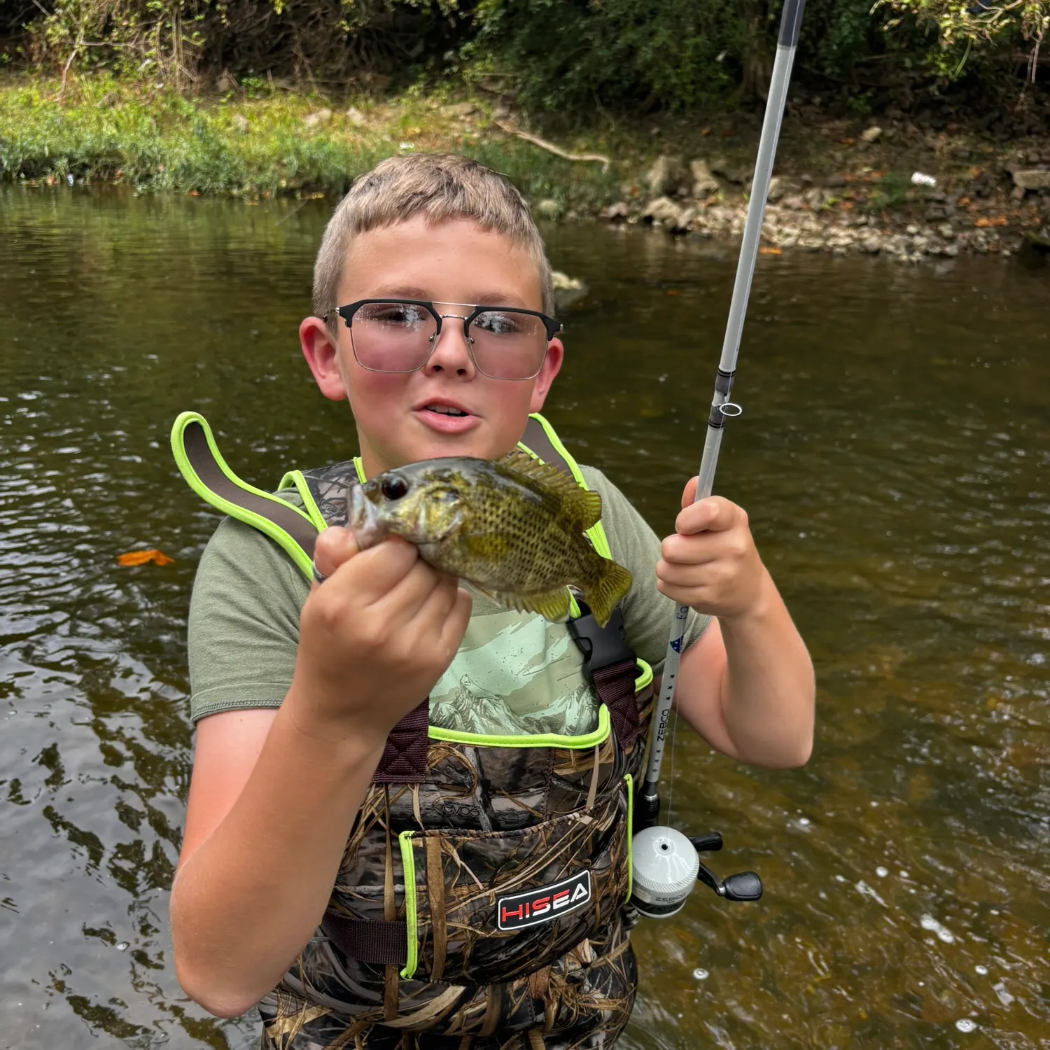 Rock bass caught on Fishbrain