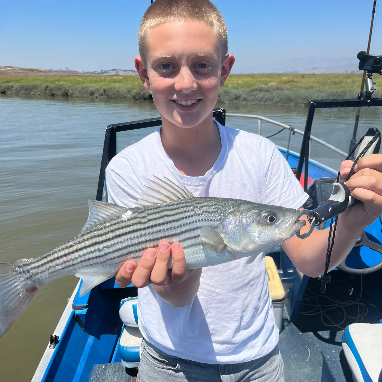 Striped bass caught on Fishbrain