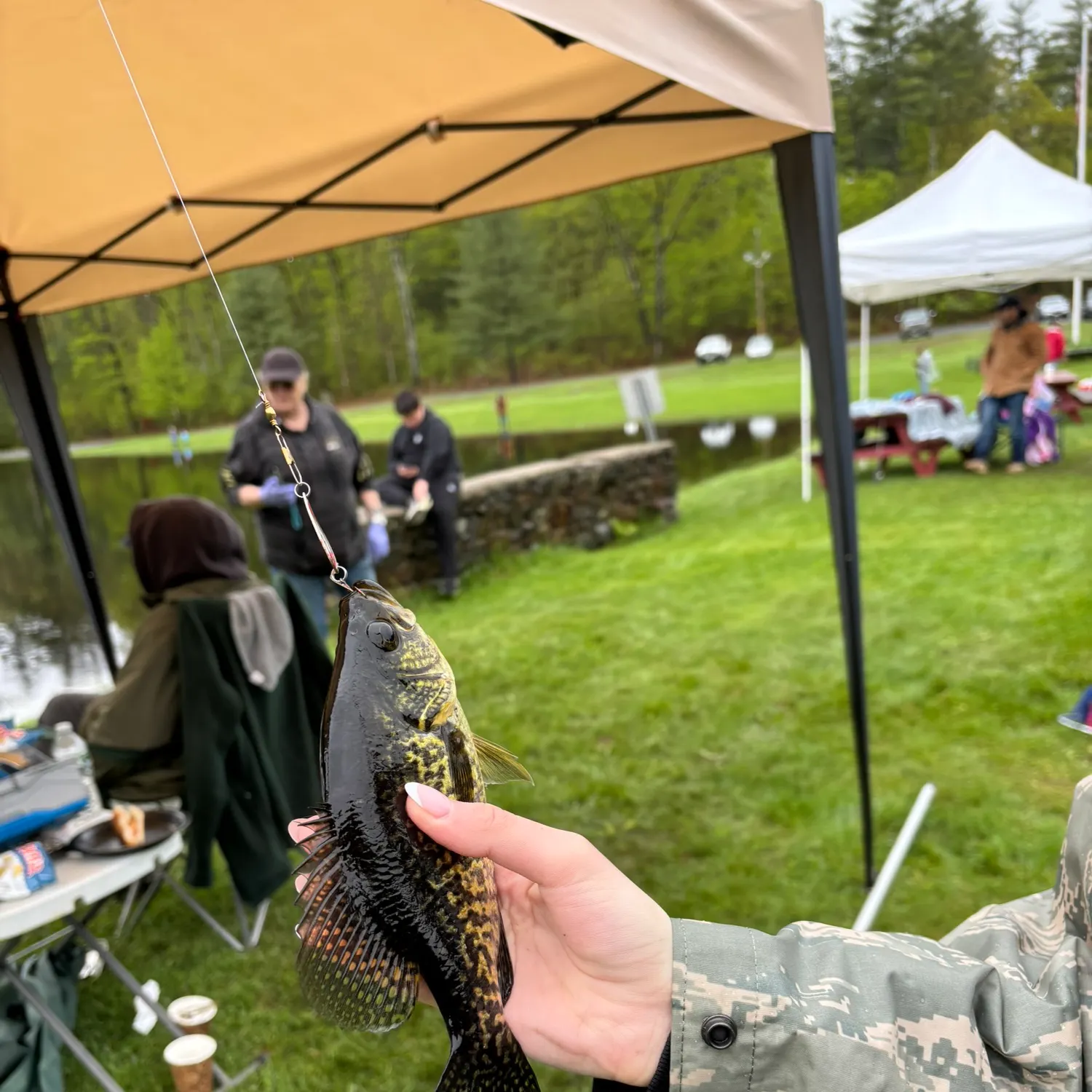 angler catch