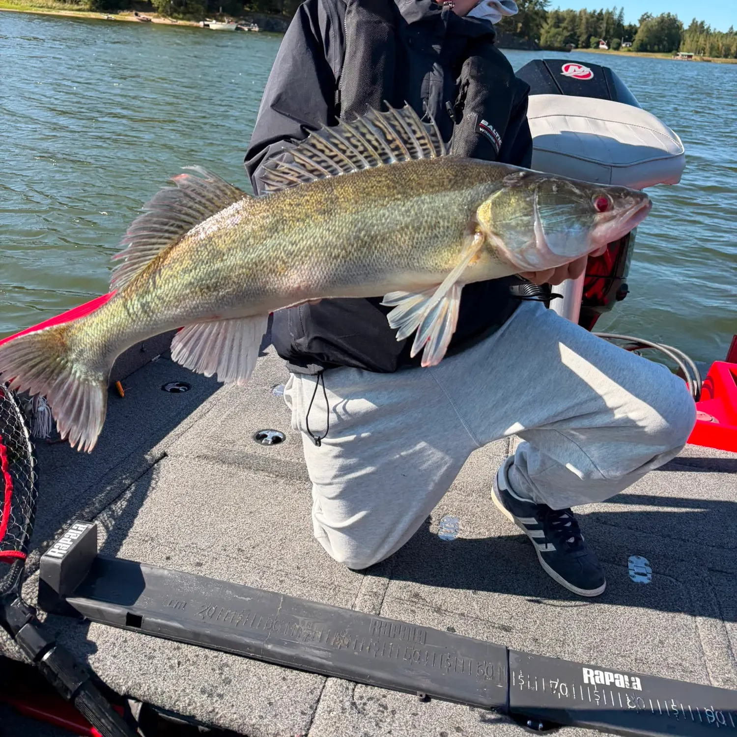 Zander caught on Fishbrain