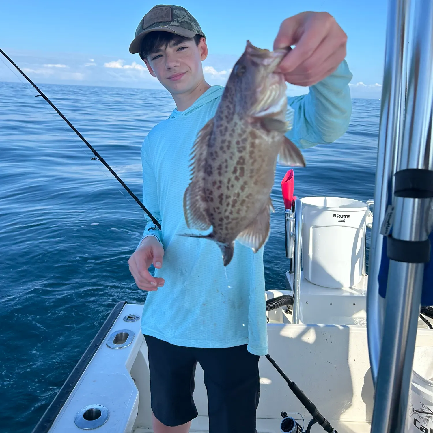 The most recent Scamp grouper catches on Fishbrain