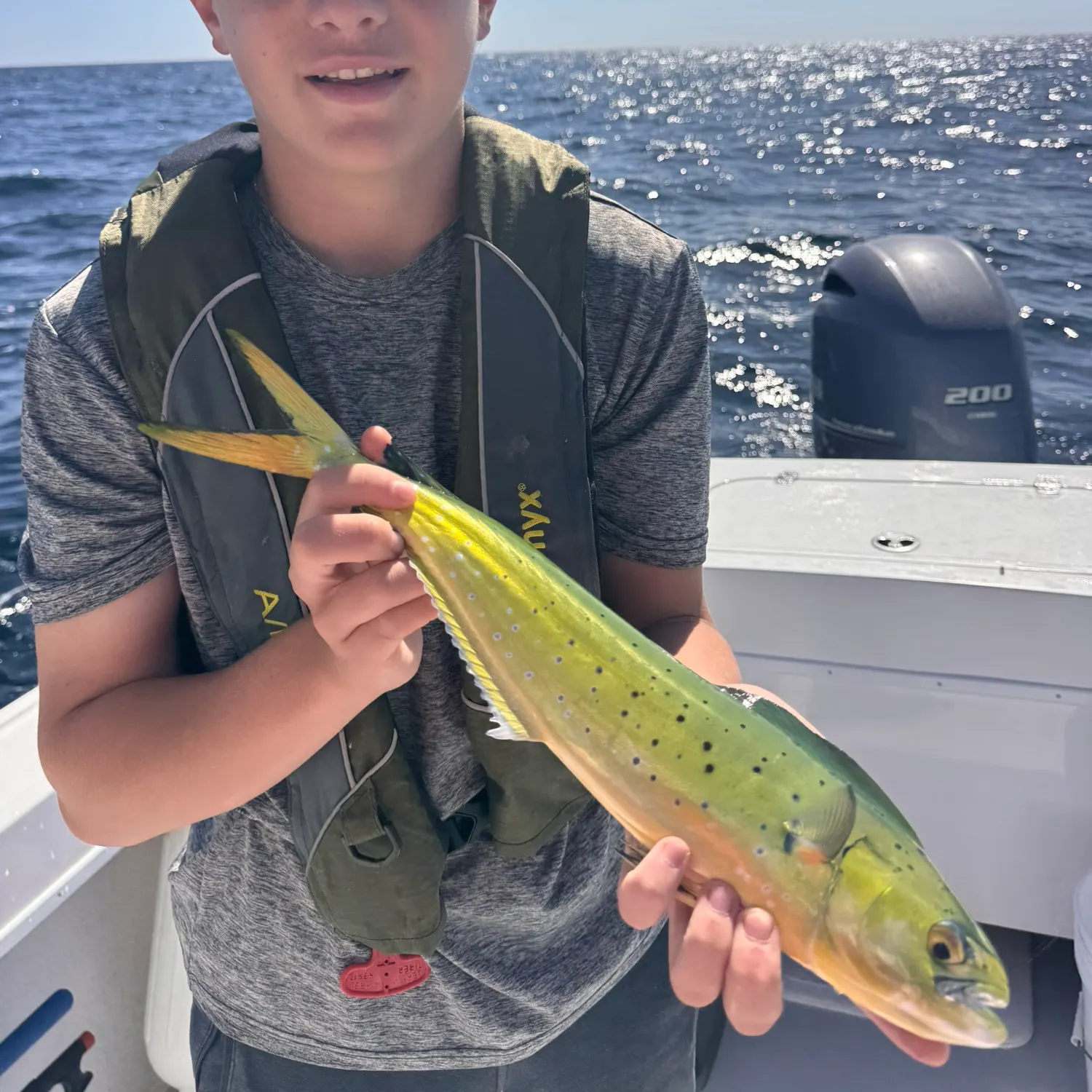 Common dolphinfish caught on Fishbrain