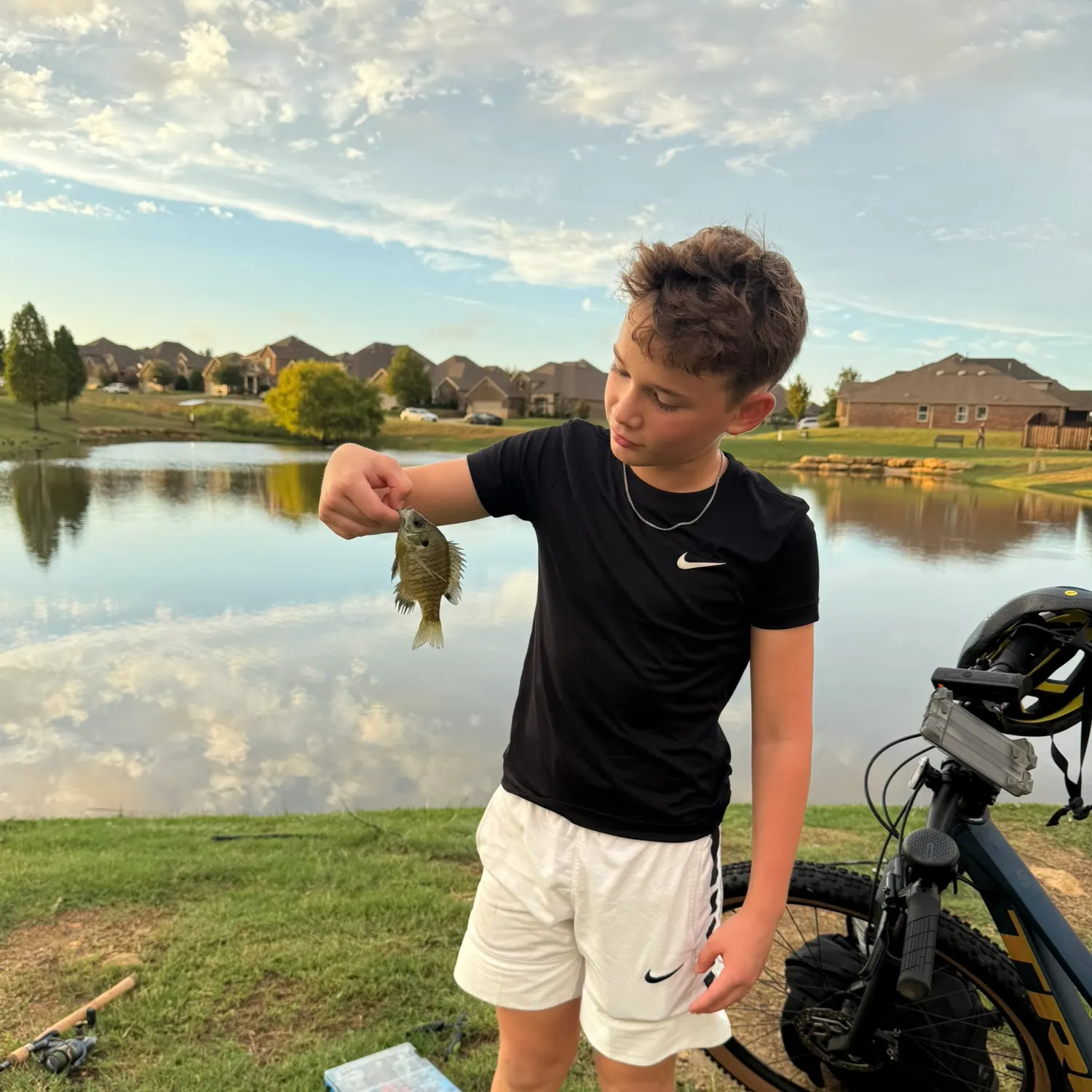 Bluegill caught on Fishbrain