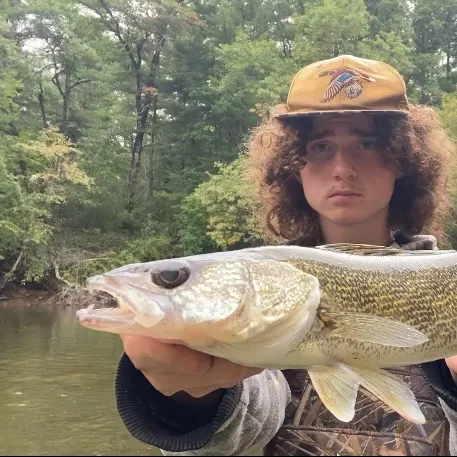 Walleye caught on Fishbrain