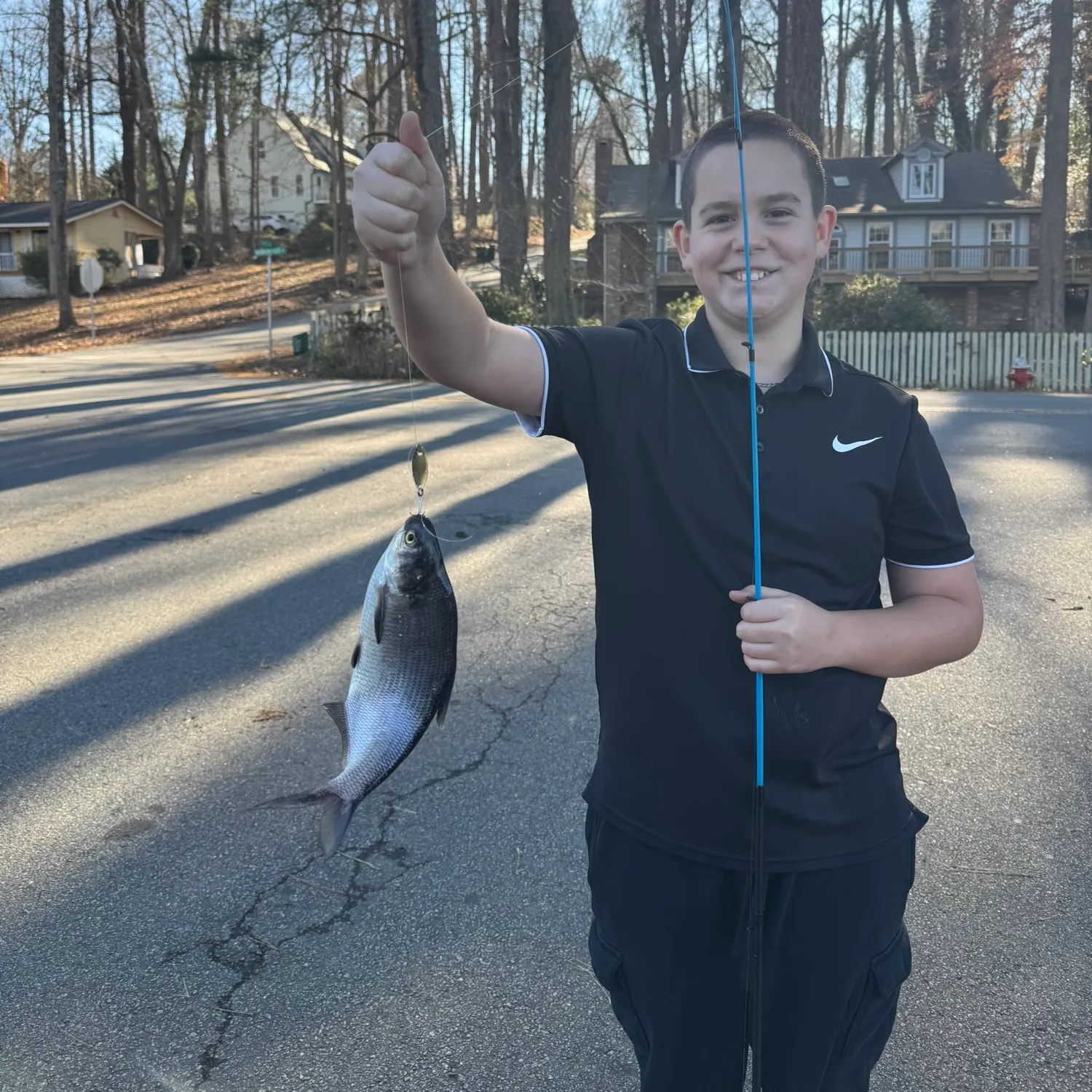 The most recent Blueback shad catches on Fishbrain