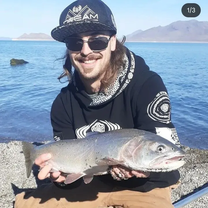 Cutthroat trout caught on Fishbrain