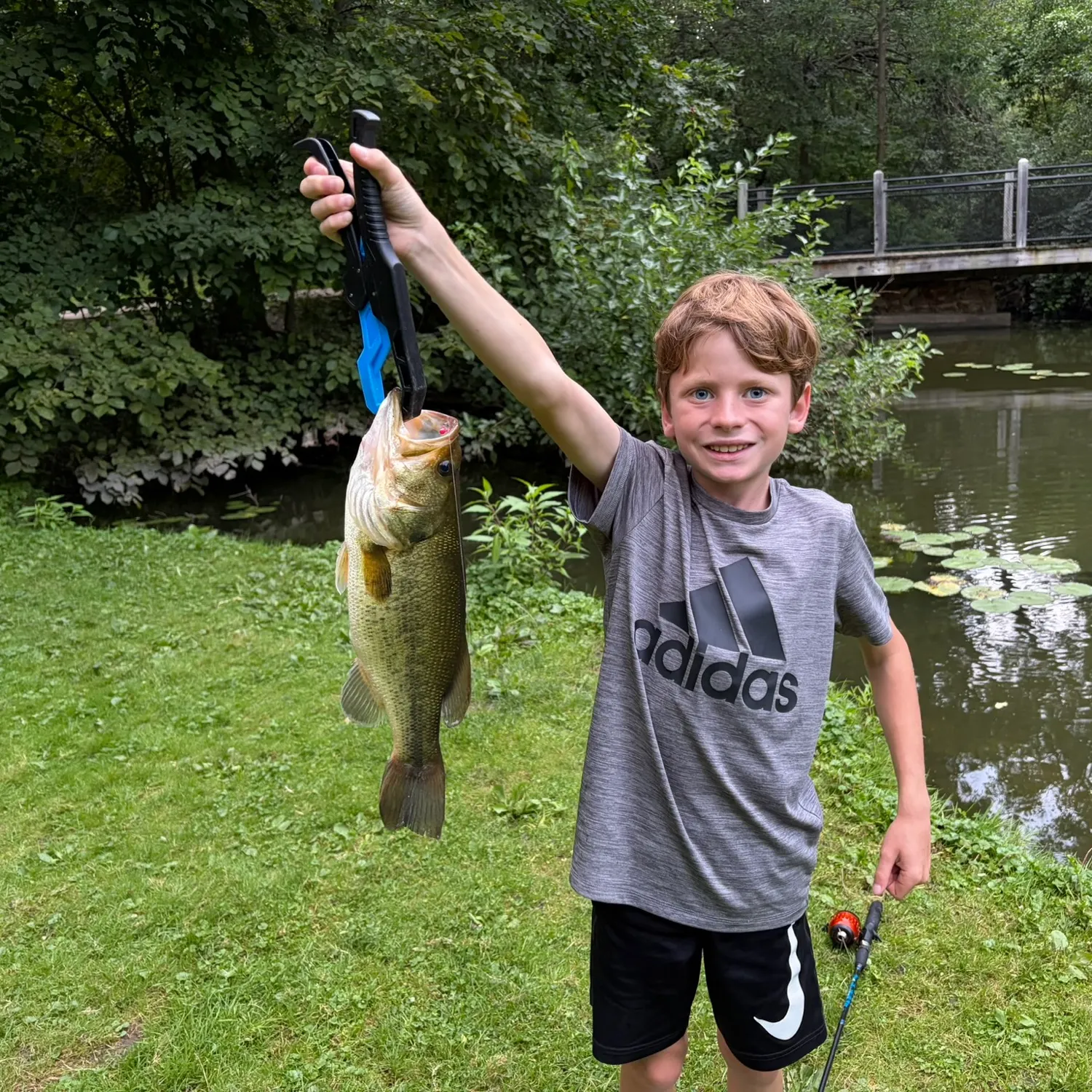 Fish caught on Fishbrain