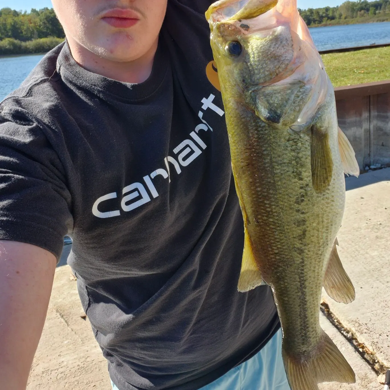 Largemouth bass caught on Fishbrain