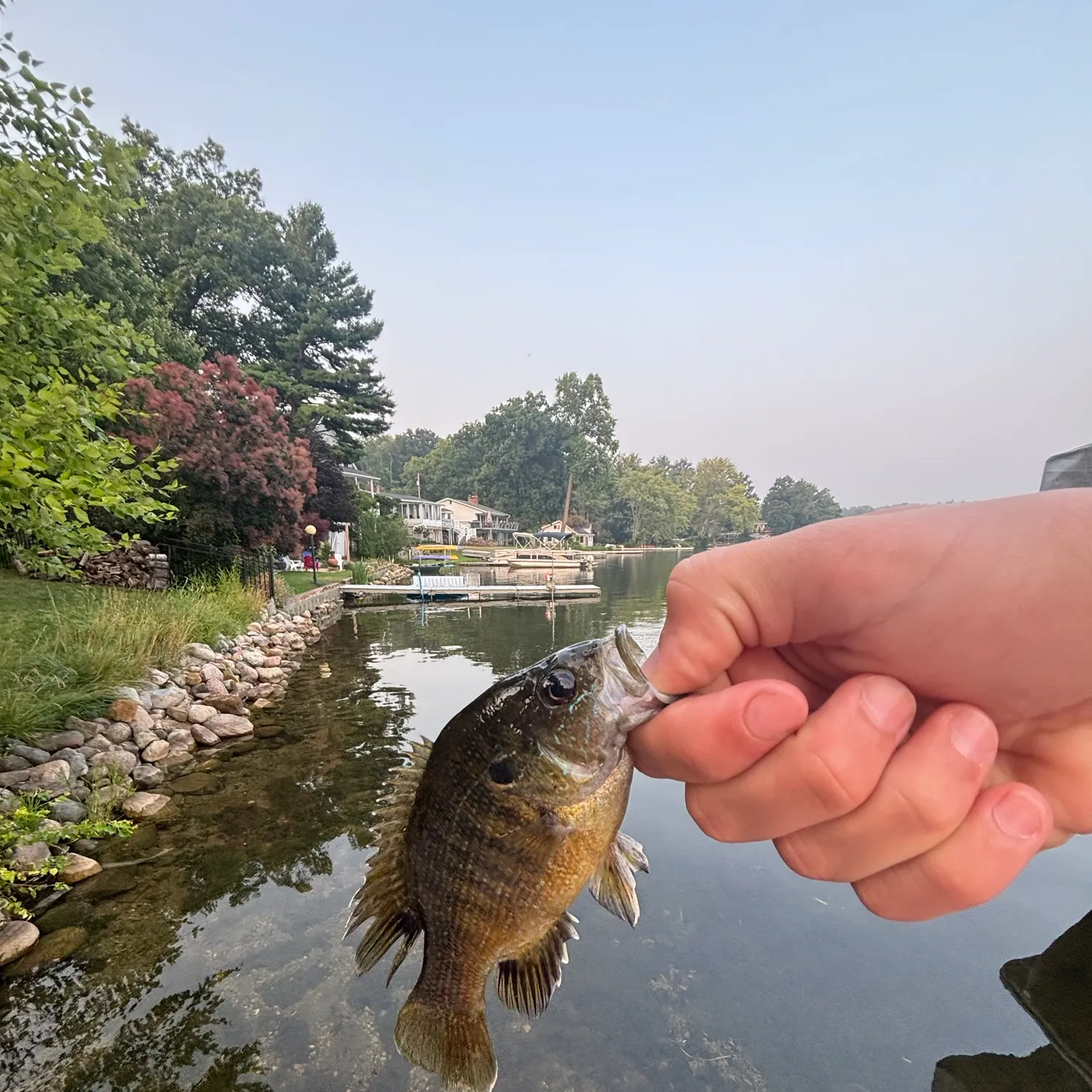 catch