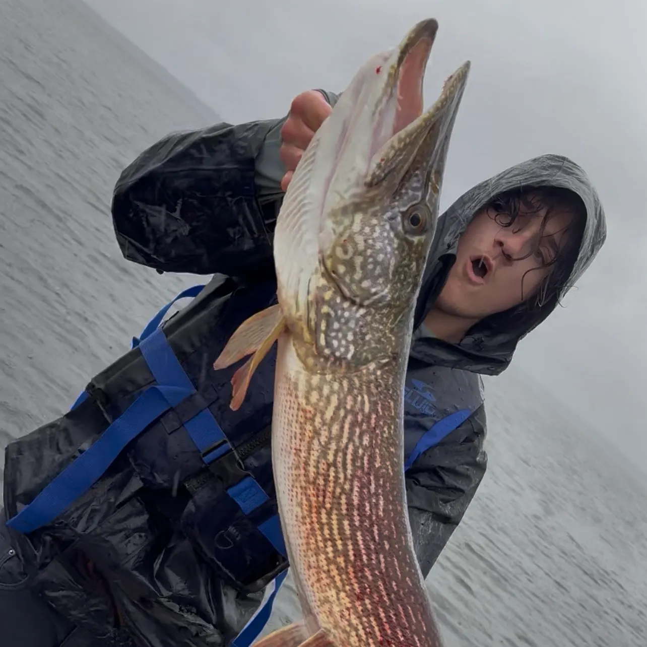 Northern pike caught on Fishbrain