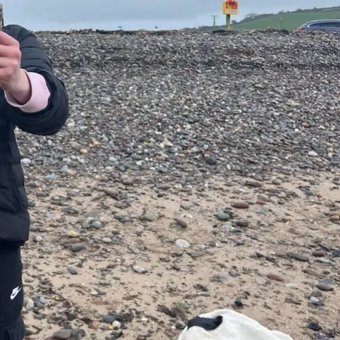 The most recent European flounder catches on Fishbrain