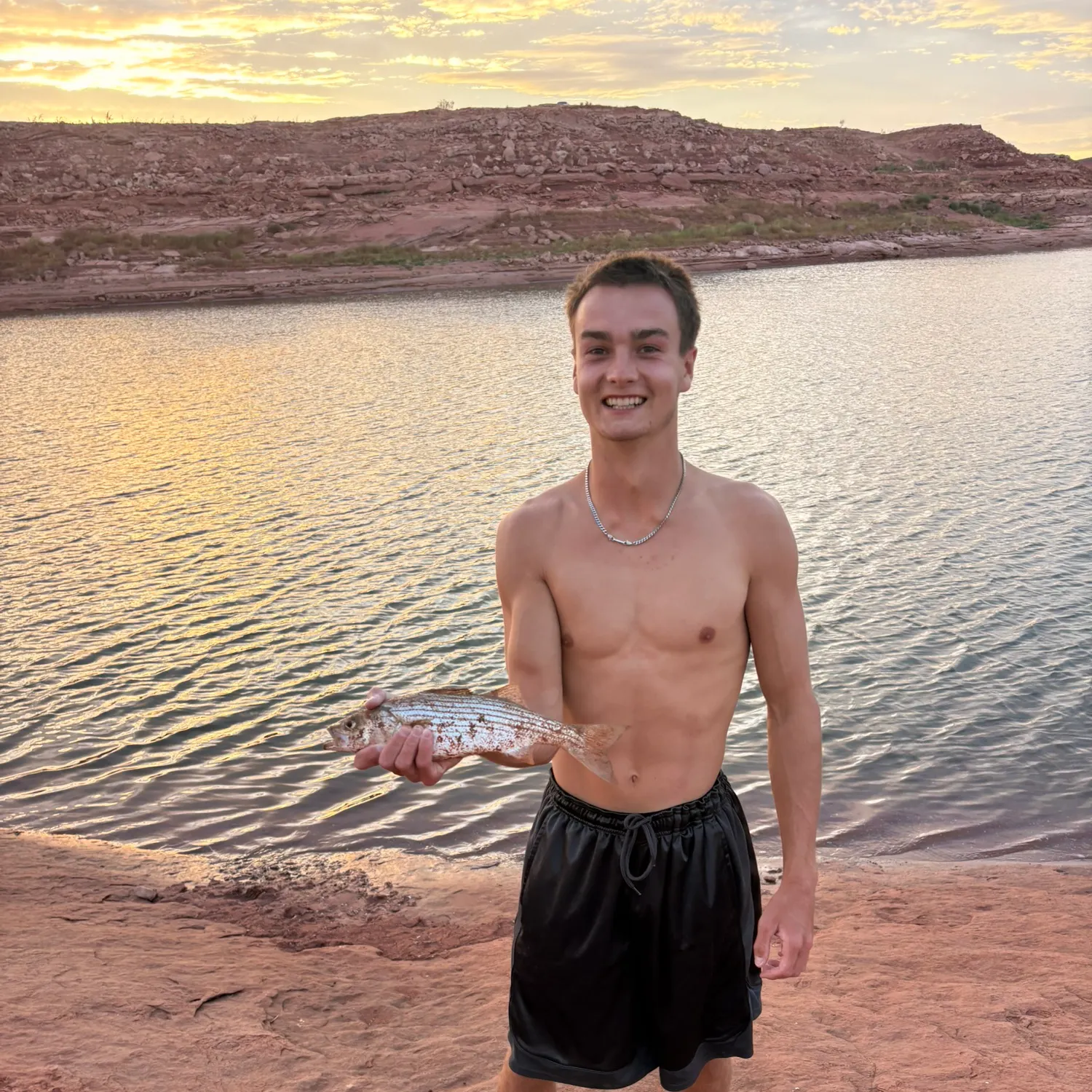 Striped bass caught on Fishbrain