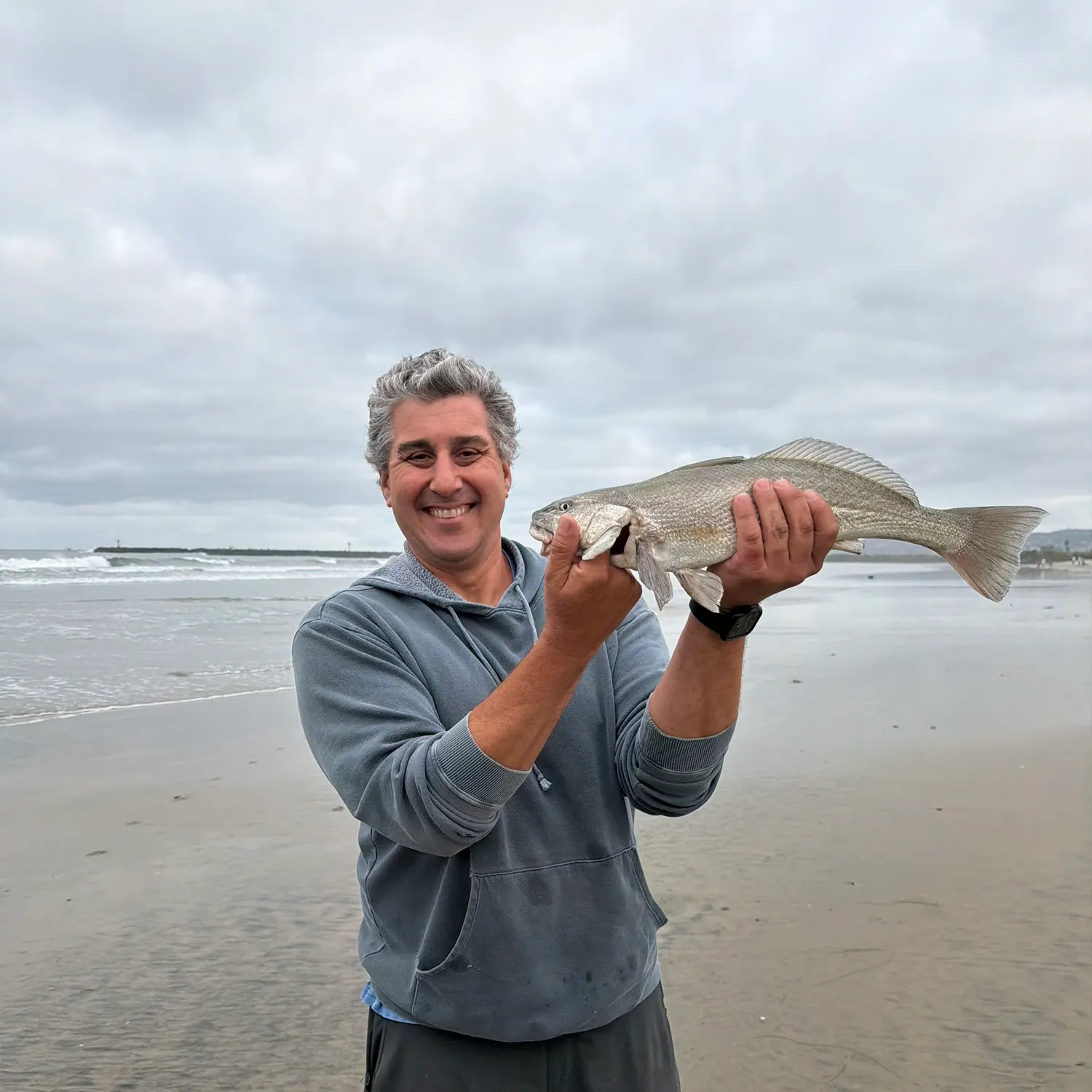 The most recent California corbina catches on Fishbrain