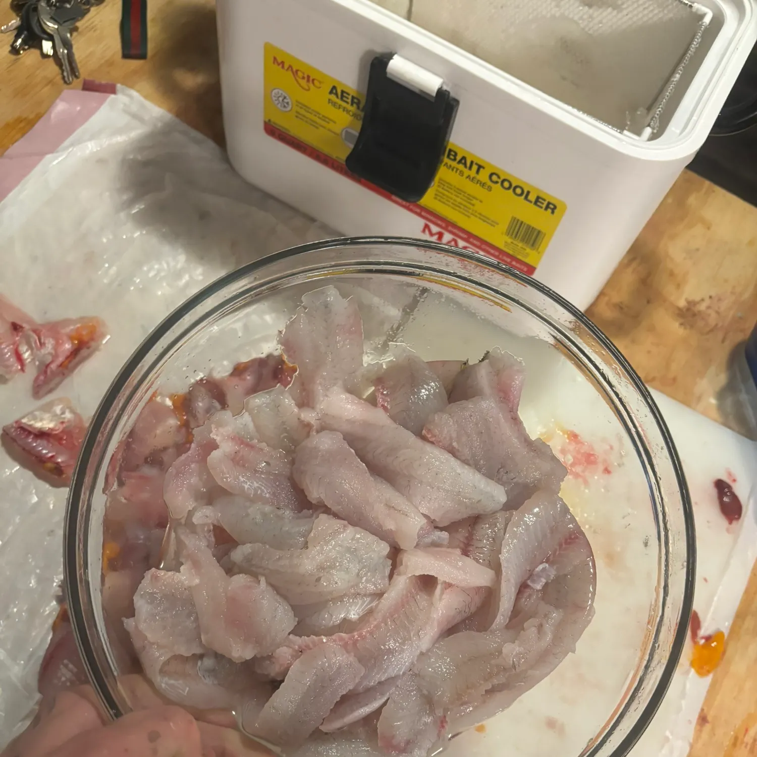 recently logged catches