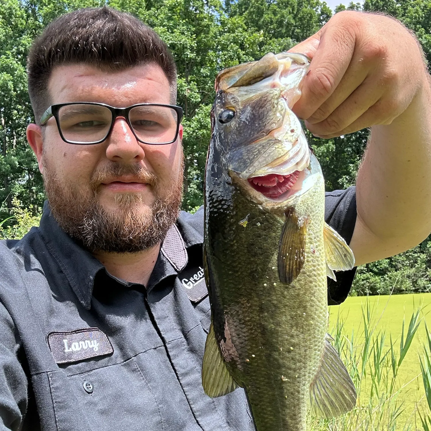 Largemouth bass caught on Fishbrain