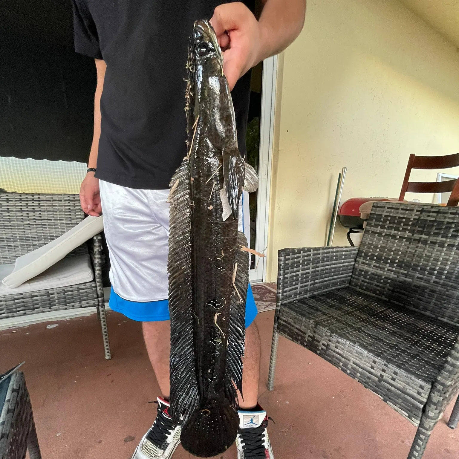 The most recent Bullseye snakehead catches on Fishbrain