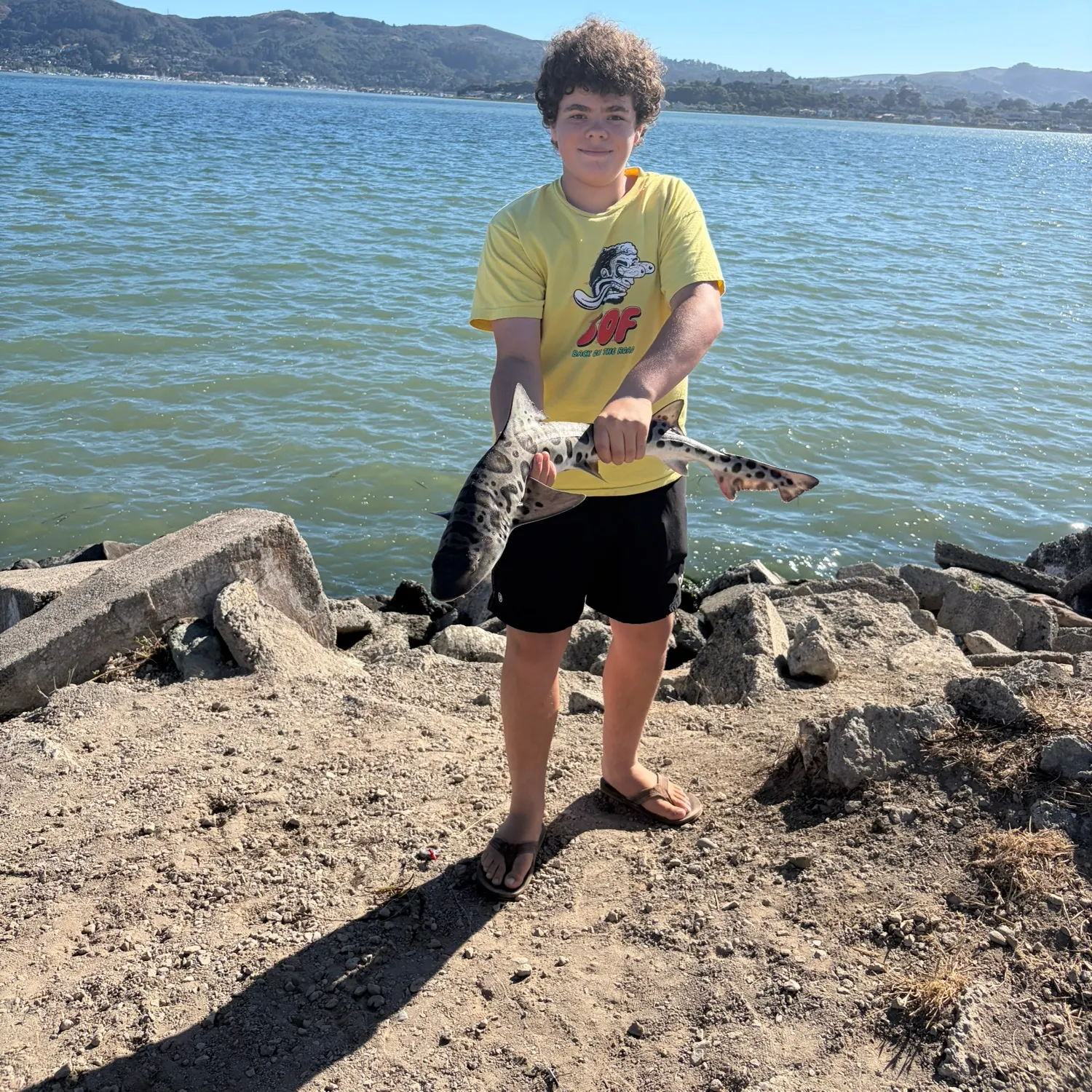 The most recent Leopard shark catches on Fishbrain