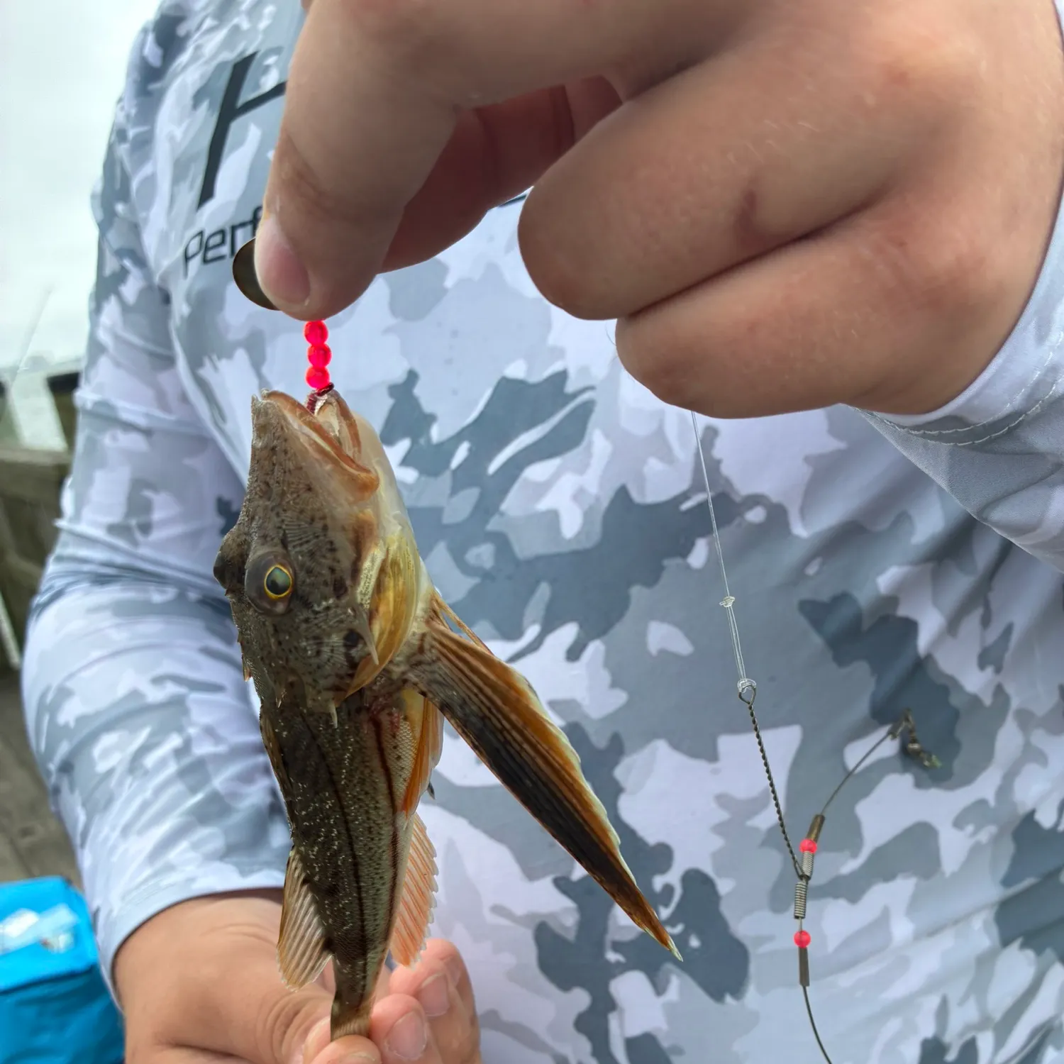 catch