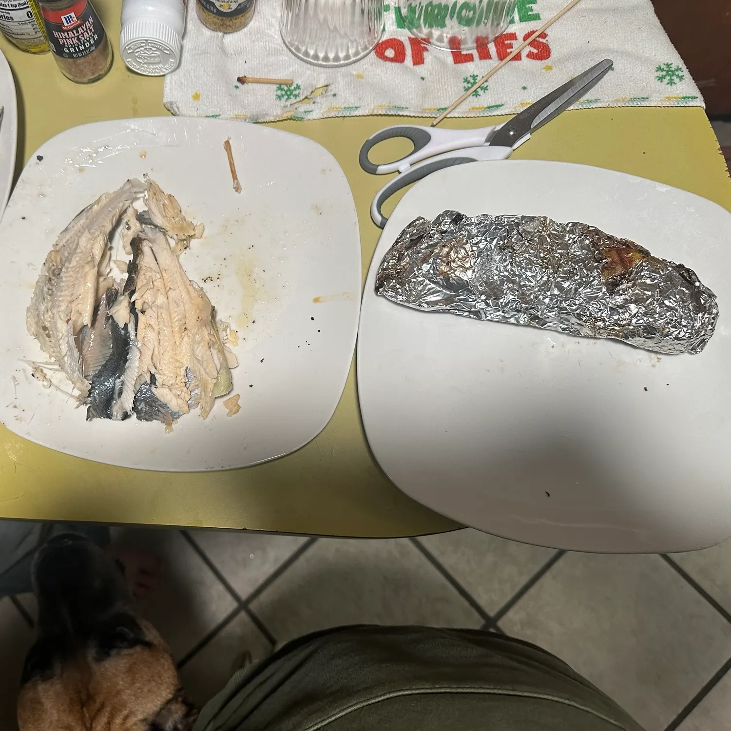 Brown trout caught on Fishbrain