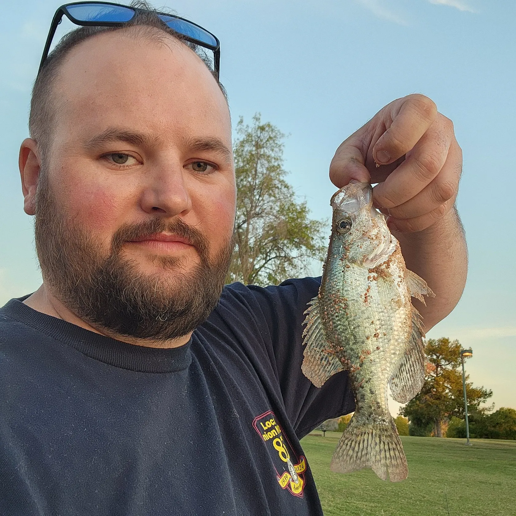White crappie caught on Fishbrain