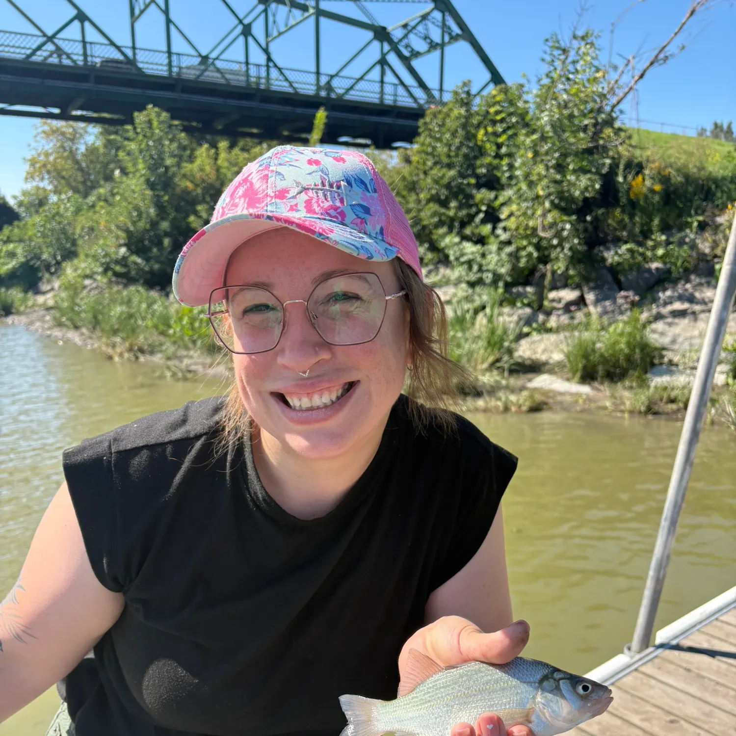 White perch caught on Fishbrain