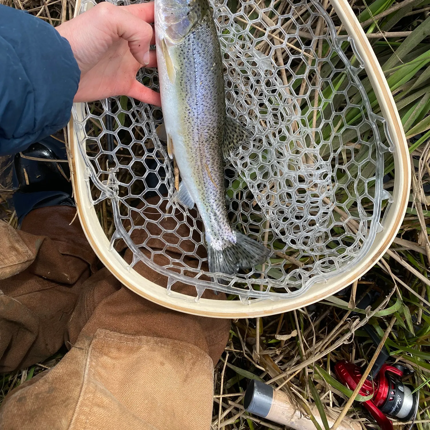 The most recent Coastal cutthroat trout catches on Fishbrain
