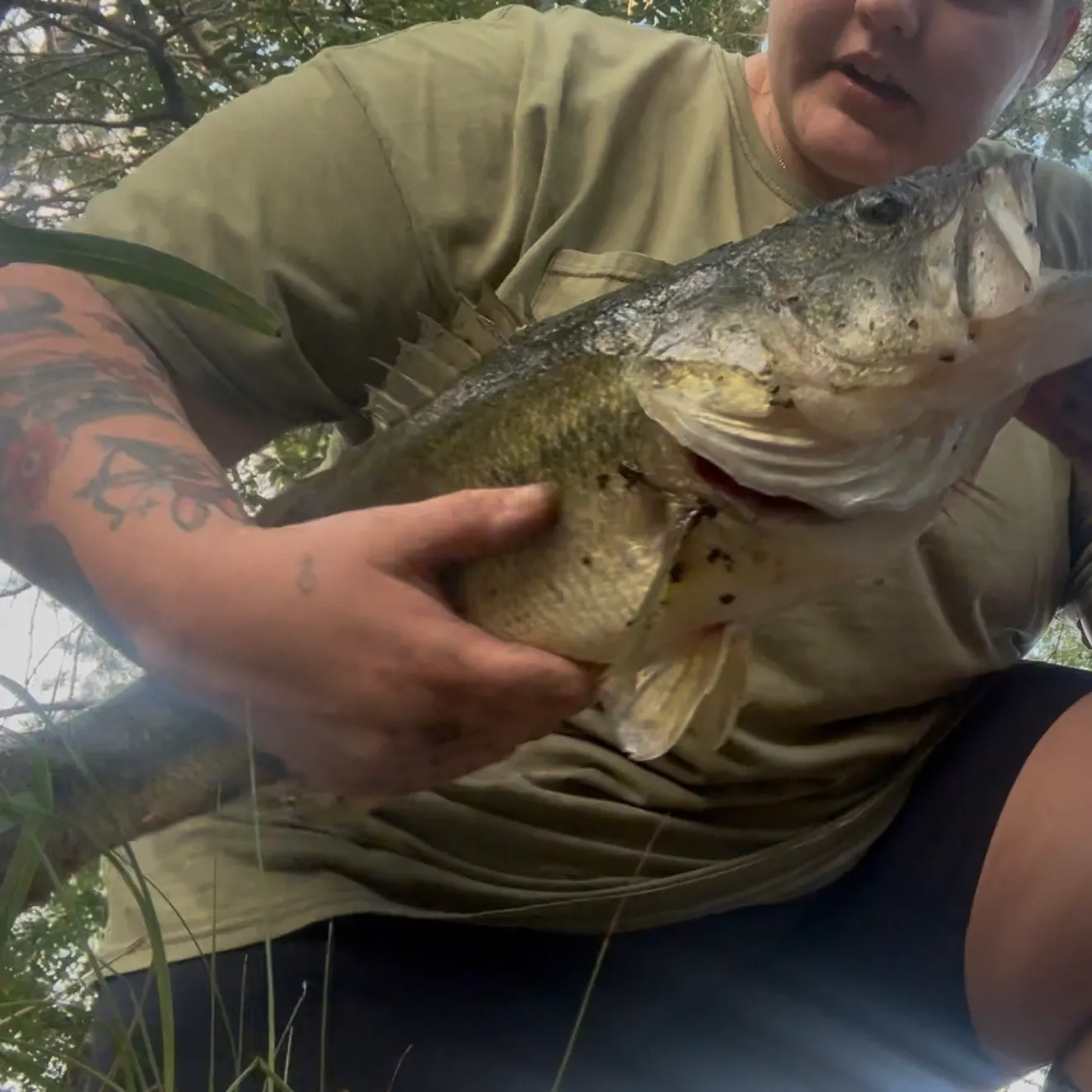 Largemouth bass caught on Fishbrain