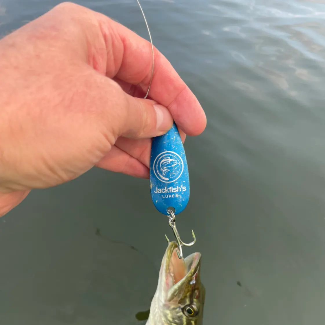 Northern pike caught on Fishbrain